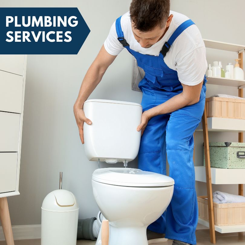 Plumbing Company in Freeland, MI